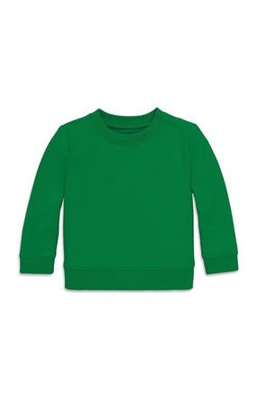 primary The New Baby Sweatshirt in Grass at Nordstrom, Size 18-24M