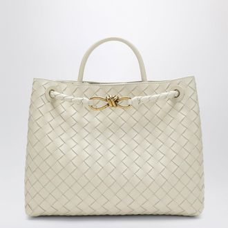 Bottega Veneta Andiamo medium bag in Seasalt