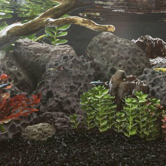 vidaXL Rocas Volc&aacute;nicas Negras 25 Kg 10-30 Cm Vidaxl
