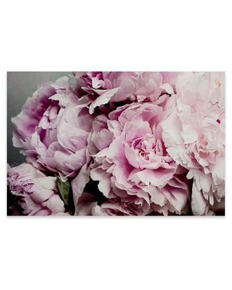 iCanvas Icanvas Peonies Galore Ii Print On Acrylic Glass By Elizabeth Urquhart