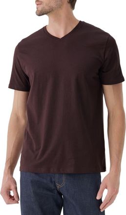 Pact Organic Cotton Softspun Essential V-Neck Tee in Plum at Nordstrom, Size X-Large