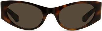 Loewe Signature 53mm Cat Eye Sunglasses in Dark Havana/brown at Nordstrom