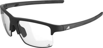 Alpina Eagle V Photochromic S1-3 Sonnenbrille - Unisex | grau