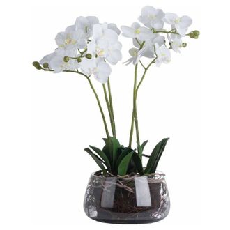 Hill Interiors Hill Interiors - Orchid in Glass Pot Artificial Flower - Plastic - L21 x W21 x H61 cm - White
