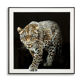 Mauro Ferretti Cuadro Lacado Sobre Lienzo Jaguar Con Marco -b- Cm 82x4x82
