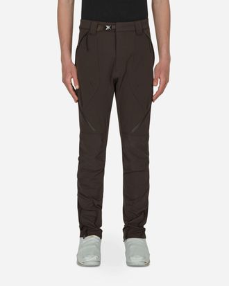 Nike CACT.US CORP Pants Brown