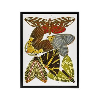 Artery8 Vintage Butterfly Illustration Framed Canvas Wall Art Print Eugene Seguy | Size: W24 x H32