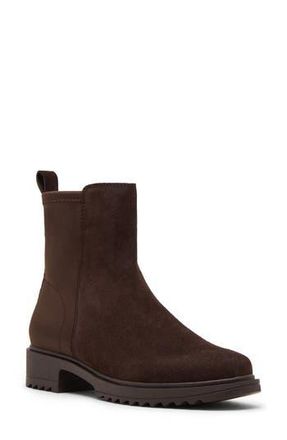 Blondo Caycie Chelsea Zip Bootie in Java Suede/Stretch at Nordstrom Rack, Size 6.5