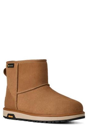 UGG Mini Gore-Tex Waterproof Boot in Chestnut at Nordstrom Rack, Size 13