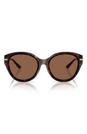 Michael Kors 59mm Round Sunglasses in Dark Tortoise at Nordstrom