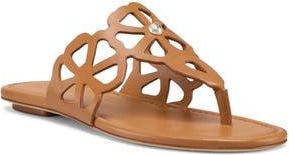 Stuart Weitzman Jasmine Cutout Sandal in Macchiato at Nordstrom Rack, Size 7.5