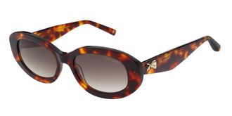 Ted Baker TB1758 Daisie 100 Womens Sunglasses Tortoiseshell Size 52