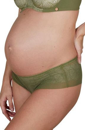 Cache Coeur Dahlia maternity shorts in Khaki at Nordstrom, Size X-Large