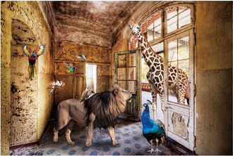 Schubiger M&ouml;bel Digitaldruck auf Glas Dschungeltiere Suchen Ein Zuhause