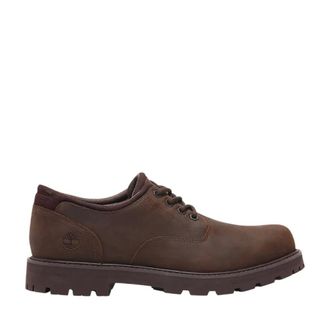 Timberland Fitness, Heren, Bruin, 43 EU, Britton Road Waterproof Shoe