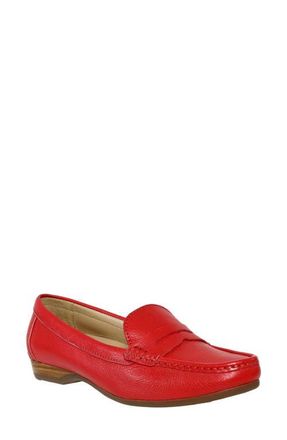 David Tate Freetime Penny Loafer in Red at Nordstrom, Size 10.5