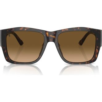 Ferrari 56mm Polarized Square Sunglasses in Havana /Polar Brown Gradient at Nordstrom