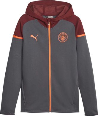 Puma Heren Manchester City FC Casual Hoodie (Grijs)