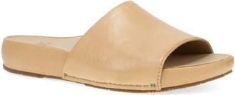 Dansko Twyla Slide Sandal in Honey at Nordstrom, Size 11.5-12Us
