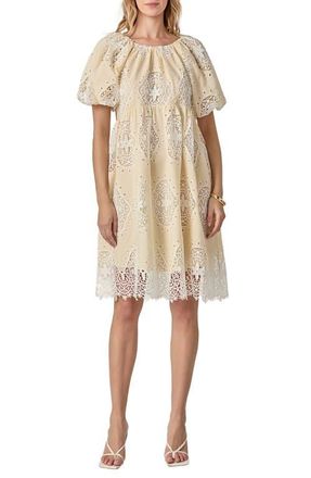 English Factory Eyelet Babydoll Dress in Butter Yellow at Nordstrom, Size X-Small