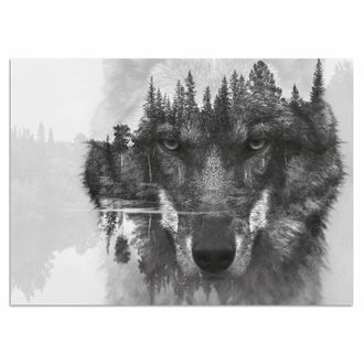 HOME AFFAIRE Acrylglasbild »Wolf« Baum Baumbilder Schwarz-Weiss See Seebilder Seelandschaft Tiere Wildtiere Wolfbilder Yosemite Nationalpark Fine Art-Print in Gale