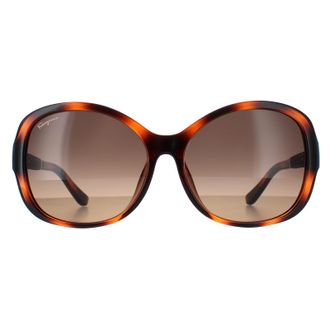 Ferragamo SF744SLA 214 tortoise bruin gradiënt zonnebril