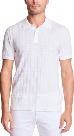 Paisley & Gray Polo Shirt