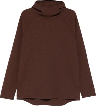 Goldwin Felpa WF Light con cappuccio - Marrone