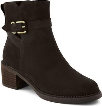 Toms Hailey Buckle Bootie in Dark Brown at Nordstrom, Size 6.5