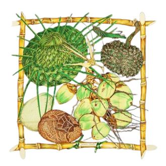 Herm&egrave;s Pre-owned Scarves, female, Multicolor, Size: ONE SIZE Pre-owned Jardin Cr&eacute;ole Silk Scarf