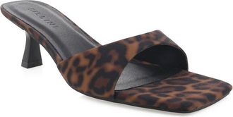 Billini Womens Meadow Kitten Heel In Leopard