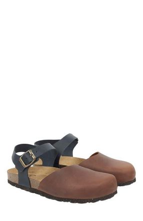 Celtic & Co. Closed Toe Sandal in Cognac /Navy at Nordstrom, Size 12