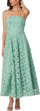 Shoshanna Strapless Floral Applique Maxi Dress In Pistachio