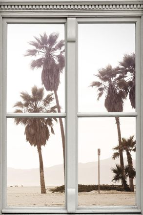 Queence Wandsticker »Palmen« Wandsticker, Wandbild, selbstklebend, 3D, Fenster