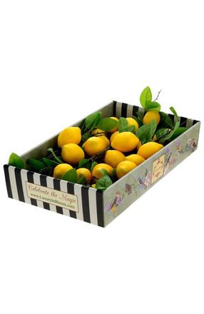 Mark Roberts Lemon Spray, Box of 6 in Yellow at Nordstrom