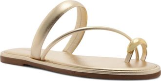 Arezzo Pamela Flat Sandal in Platino at Nordstrom, Size 6.5