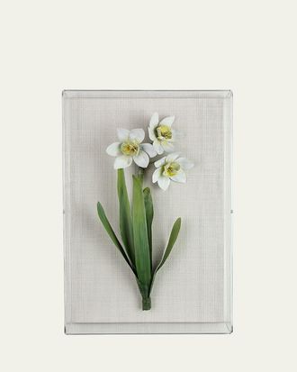Tommy Mitchell Narcissus December Birth Flower Wall Art