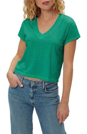 Michael Stars Harlan Cotton V-Neck T-Shirt in Maldives Green at Nordstrom
