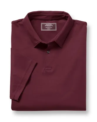 CHARLES TYRWHITT Smart Jersey Cotton Polo - Wine Size Large by Charles Tyrwhitt