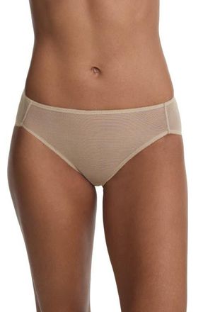 Skarlett Blue Jolie Sheer Lace French Cut Brief in Nylon at Nordstrom, Size X-Large