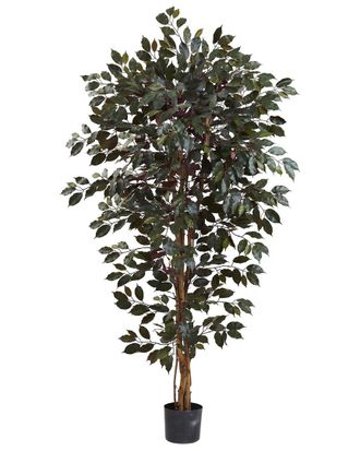 Nearly Natural 6Ft Capensia Ficus Tree