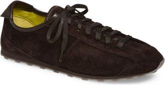 Jacquemus Les Tennis Low Top Sneaker in Dark Brown at Nordstrom, Size 13Us