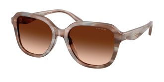Coach HC8437U CBY87 590174 Womens Sunglasses Brown Size 53