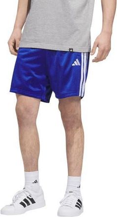 adidas Stadium Mesh Shorts in Team Royal Blue at Nordstrom Rack, Size Xx-Large