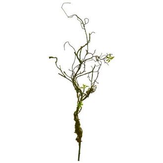 Nearly Natural 24-in Moss Twig Vine Artificial Plant in Green at Nordstrom