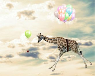Queence Acrylglasbild »fliegende Giraffe« Giraffe Giraffen Giraffen Bilder Himmel Himmelsbilder Luftballon Tiere Fine Art-Print in Galeriequalität