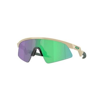 Oakley Accessoires, unisex, Bruin, ONE Size, Resistor Sweep