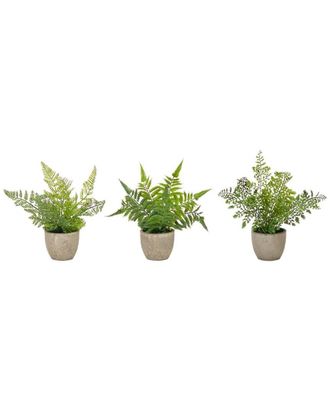 Melrose International Set Of 3 Assorted Fern Plant In Grey Pot