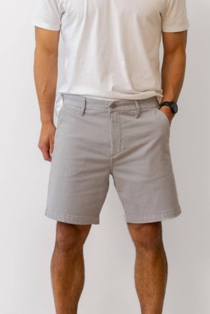 Joe's Palmer Shorts In Soft Gray
