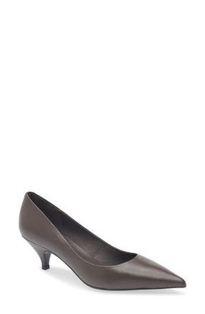 Jeffrey Campbell Miss Maam Pointed Toe Pump in Coffee at Nordstrom Rack, Size 9